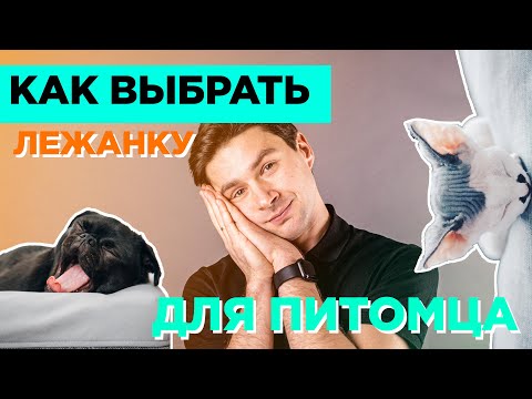 Видео: Как выбрать лежанку для питомца ✨🌙