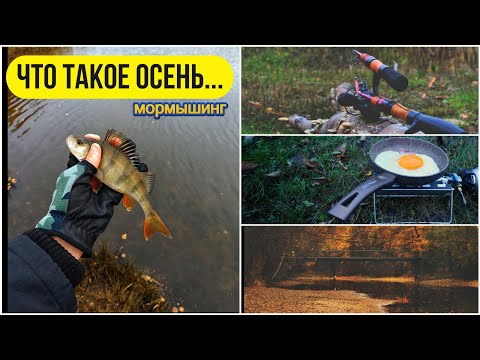 Видео: #мормышинг | Ловим рыб | Готовим на природе |