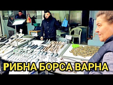 Видео: 240 лева за 6 кг Калкан! Рибен пазар във Варна, 10 април 2025г. Прясна морска и сладководна риба!