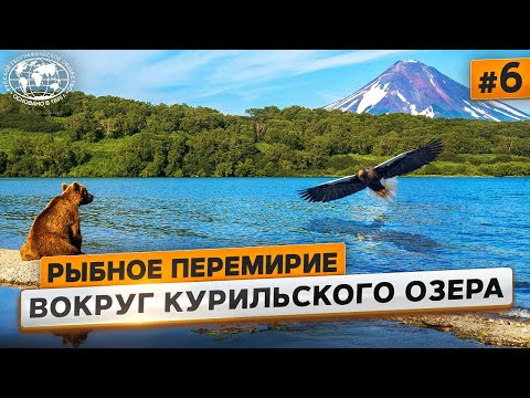 Видео: Дикая Камчатка. Курильское озеро | @Русское географическое общество