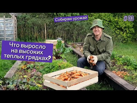 Видео: Собираю урожай. Что выросло на высоких теплых грядках?