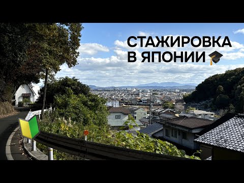 Видео: Как попасть в Японию по учебе? #JREX