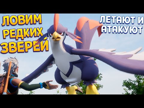 Видео: ЛОВИМ РЕДКИХ ЗВЕРЕЙ ( Palworld )