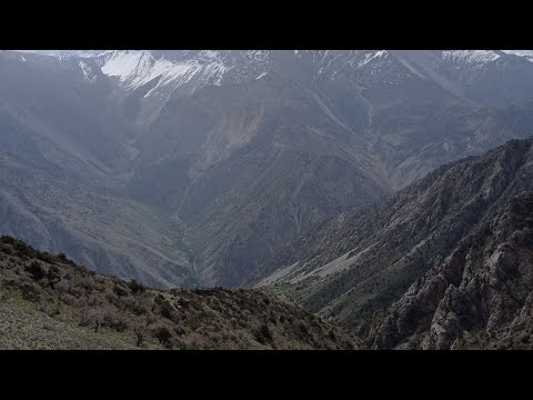 Видео: АБДУЛЛО ХАЁЛОВ ОШИ НАХОР