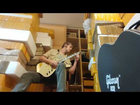 Видео: Обзор звука китайской реплики Ibanez Iceman