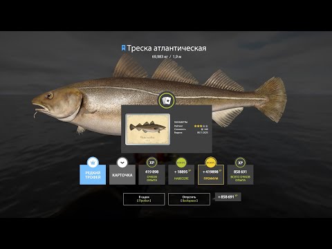 Видео: НОВАЯ ФАРМОВАЯ НАЖИВКА НА МЕДНОМ, РАЗДАЧИ НА МОРЕ И ДРУГИЕ НОВОСТИ ПО ВОДОЕМАМ В РУССКОЙ РЫБАЛКЕ 4