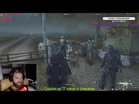 Видео: Субботний чилл в зоне - улей, топи, льды | Stay Out