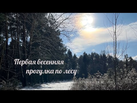 Видео: Первая весенняя прогулка по лесу.