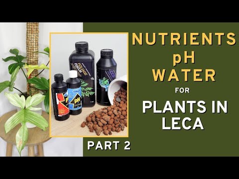 Видео: Простая ПРАВДА о ПИТАЮЩИХ ВЕЩЕСТВАХ при использовании Leca