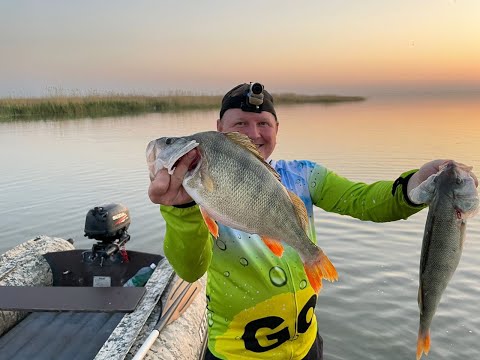 Видео: Спиннинг в дугу  Нашли больших окуней  Окунек под коньячок , вкусно очень