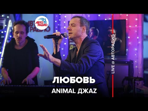 Видео: Animal ДжаZ - Любовь (LIVE @ Авторадио)