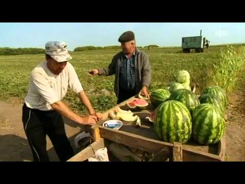 Видео: Podsosnowo 0004  документальный фильм про немецкий район включая Подсосново TV 2012 08 10
