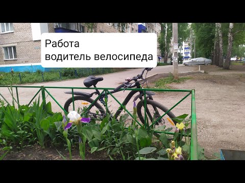 Видео: ДТП с электросамокатом.