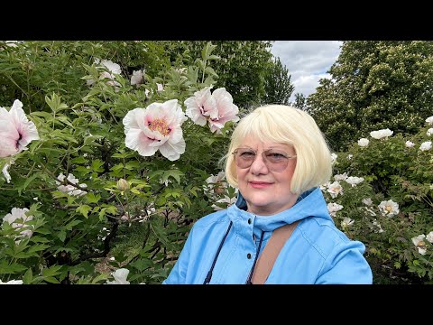 Видео: ОТВЕЧАЮ НА ВАШИ ВОПРОСЫ! ПРОГУЛКА ПО БОТАНИЧЕСКОМУ САДУ КИЕВ МАЙ 2025. ЦВЕТЁТ СИРЕНЬ.