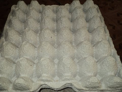 Видео: Масса из яичных лотков для уличных скульптур