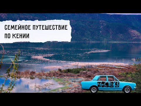 Видео: Горячие источники и фламинго