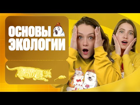 Видео: Основы экологии | Вспомнить всё | ЕГЭ-2025 с Биологическим Тюленем