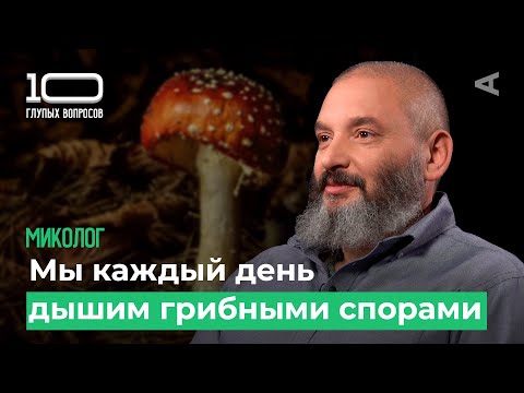 Видео: 10 глупых вопросов МИКОЛОГУ