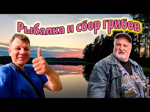Видео: Озеро Чёрное | Осенняя рыбалка | Сбор грибов