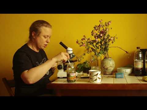 Видео: Если у вас есть микроскоп (часть 4). Изучаем протухшую воду