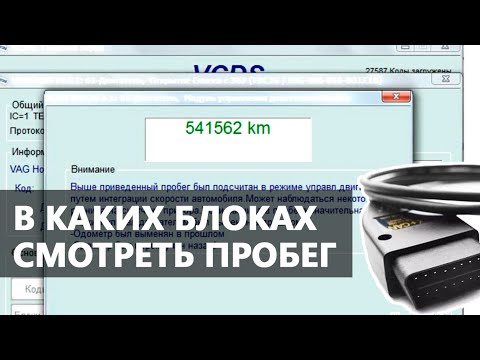 Видео: Проверка реального пробега с VCDS (Вася) на VW, Skoda, Audi, Seat