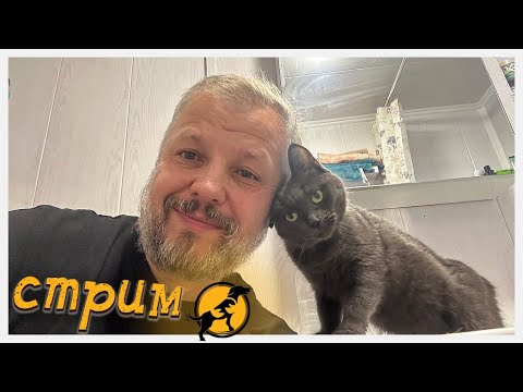 Видео: Вечерний стрим, отвечаем на ваши вопросы, делимся новостями 15.11.2025