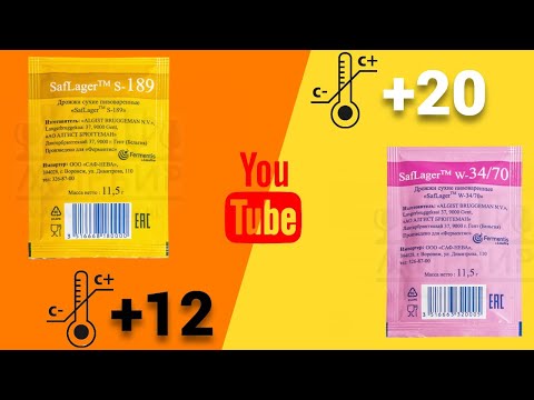 Видео: ПИВО на самых популярные лагерные дрожжах 34\70 при +20с и s-189 при +12!Дегустация!