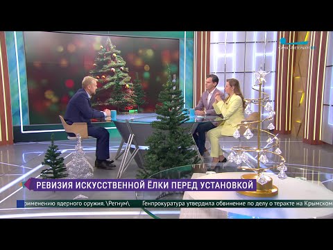 Видео: Как правильно выбрать искусственную ёлку?