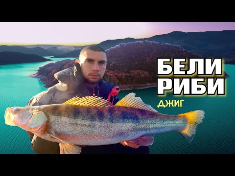 Видео: ОСТРОВА на БЕЛИТЕ РИБИ! Къде и как кълве?