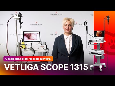 Видео: Обзор эндоскопической системы VETLIGA Scope 1315