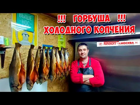 Видео: ГОРБУША ХОЛОДНОГО КОПЧЕНИЯ В МОЕЙ КОПТИЛОЧКЕ ОТ КОМПАНИИ МОСКИТ 😊🤝