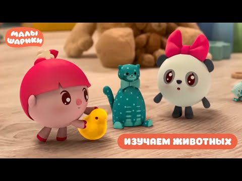 Видео: ⭐Малышарики⭐ - Изучаем животных вместе с Малышариками