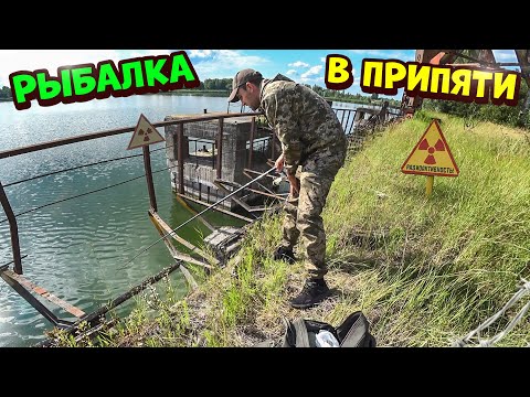 Видео: Рыбалка в Припять на 24-Часа Закидушки на сома.