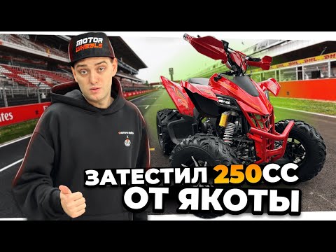 Видео: Спортивный квадроцикл на МЕХАНИКЕ - Yacota Typhoon 250 LD