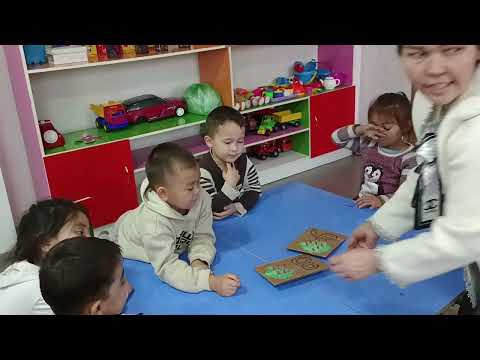 Видео: таным саласы қарапайым матиматика негіздері