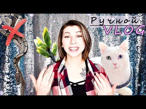 Видео: 【РАСПУЩЕННЫЕ】Змеи 🌿✨ Зефирчик и Весна | VLOG