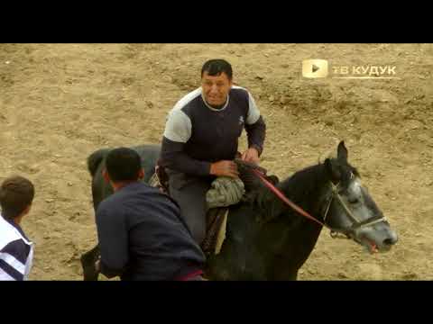 Видео: Кисми 5 Бузкашии д Хунобод #horse #рекомендации