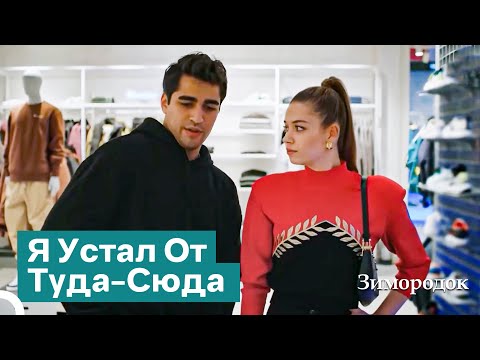 Видео: Воплощение Отношений Любви-Ненависти | Зимородок