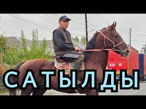 Видео: САТЫЛДЫ ЧАБАЛЕКЕЙ