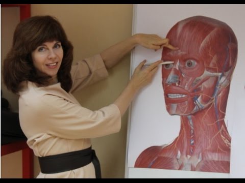 Видео: Екатерина Федорова о семинаре "Сияние молодости"