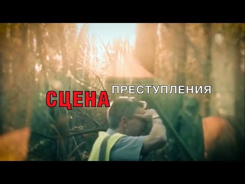 Видео: Как я стал криминалистом  / Обязанности — СЦЕНА ПРЕСТУПЛЕНИЯ 1