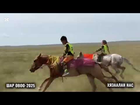 Видео: Шар овоо 2025 хязаалан