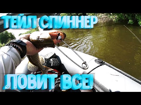 Видео: Универсальная приманка! Тейл спиннер ловит все! Рыбалка на хищника
