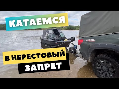 Видео: катаемся в нерестовый запрет истр вод