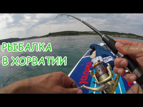 Видео: Kто и на что клюет в Хорватии, рыбалка в Адриатическом море с плавучей доски.  #Lopar #Rab