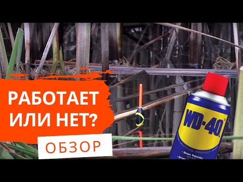 Видео: КАРАСЬ НА WD-40. СМОТРИМ ЧТО ПОЛУЧИЛОСЬ. Осенняя рыбалка на поплавок