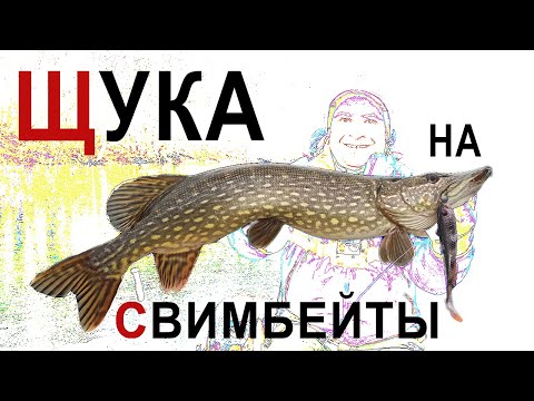 Видео: СУПЕР РЫБАЛКА НА ЩУКУ! Свимбейты сделали этот день! / КРУПНАЯ РЕЗИНА / СПИННИНГ