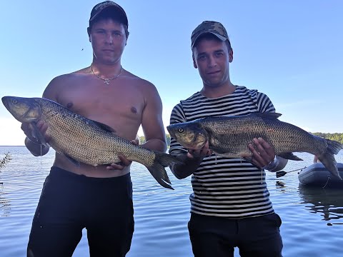 Видео: КАК ПОЙМАТЬ КРУПНОГО ЖЕРЕХА на  спиннинг,  горьковском море