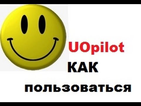 Видео: Как пользоваться UOpilot - Простейшие скрипты