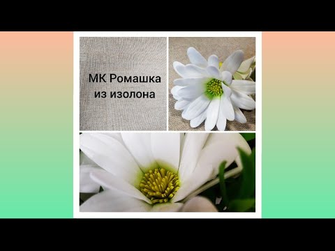 Видео: 🌼Легко и просто 🌼 МК / DIY Ромашка из изолона / Chamomile #ромашкаизизолона